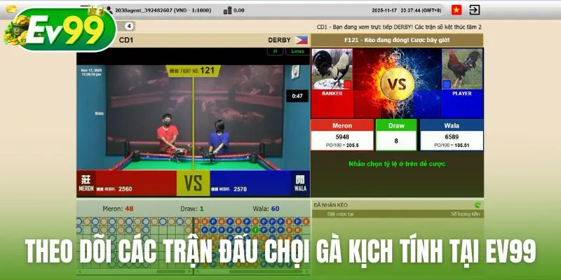 Theo dõi các trận đấu chọi gà kịch tính tại nhà cái Ev99